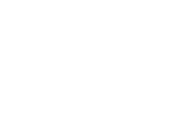 Zurich Electromechanical LLC