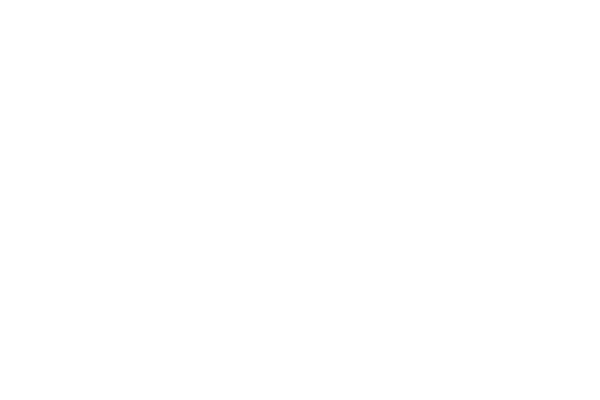 Ecoking Cleaning Services